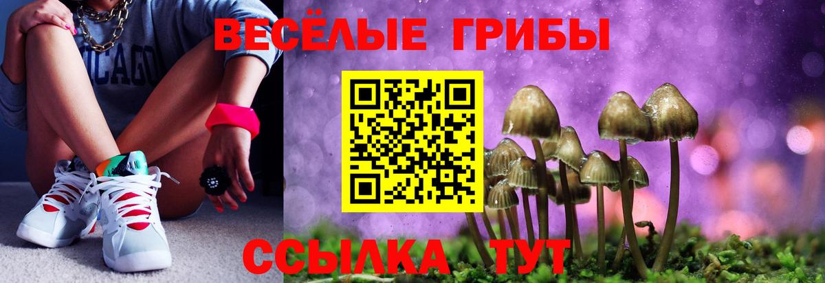 Галлюциногенные грибы GOLDEN TEACHER Севастополь